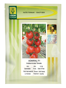 فروش بذر گوجه فرنگی یوکسل 2